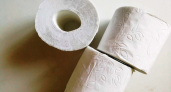 «Не очень полезная штука»: врач объяснил, почему туалетную бумагу лучше заменить гигиеническим душем