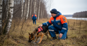 На Сахалине ищут девятилетнего мальчика: в поиски включены водолазы и кинологи