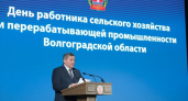 Волгоградская область укрепила позиции среди передовых аграрных регионов: Бочаров отчитался о продовольственной безопасности