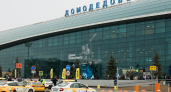 Суд окончательно отказал Каменщику: Домодедово переходит государству