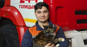 Кошка Муська родила котят в кабинете начальника: как спасенные животные стали талисманами пожарных