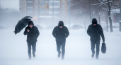 Метель и порывы 15 м/с: Москву накроет снегопад в канун Нового года
