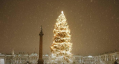 Беглов защитил 30-метровую ёлку: «Пусть критики сами помогают украшать»