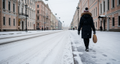 В Петербурге объявили желтый уровень опасности: сильный снег и обледенение до завтра