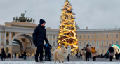 Снег до полудня, потом потепление: Петербург встретит 2 января при -8°