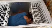 38-летняя мать четверых детей спряталась в морозильнике от приставов из-за долга в 500 тысяч рублей