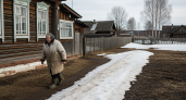 Деревенская быль глазами городских: за неделю мы увидели, почему местные давно забросили свои хозяйства
