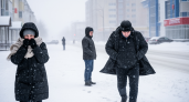 Метель до 13 м/с обрушится на южный Сахалин: экстренное предупреждение синоптиков на 19 февраля