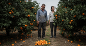 Грузинский фермер рассказал, как лучше потерять деньги на мандаринах, чем связываться с Россией
