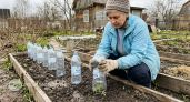 Храню пластиковые бутылки с января и к маю получаю десяток полезных вещей для огорода