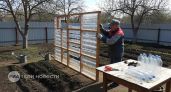 Забыла про дорогой поликарбонат: строю теплицу из обычных бутылок и экономлю на ремонте целое состояние
