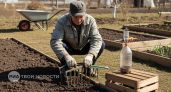 Хватит тратить время на кривые грядки: 4 способа выровнять их без лишних усилий и спецтехники за пять минут