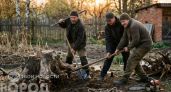 Хватит мучиться с лопатой: узнал простой китайский способ убрать пни с участка без лишней физической нагрузки