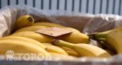 Больше не выбрасываю пакетики из ящиков с бананами: теперь забираю их домой вслед за продавцами из магазинов