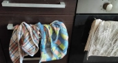 Никому в семье не позволяю выбросить старые полотенца: 10 способов удачного применения в доме - муж-рыбак первым оценил