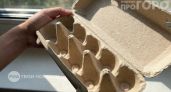 Хватит выбрасывать яичные лотки в мусор: они заменят дорогие товары для дачи и сада в этих 15 задачах