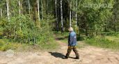 Мошка лезет под одежду и кусает до крови: это аптечное средство за копейки защищает лучше любой химии