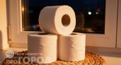 Хитрость с кофе и туалетной бумагой: простой способ избавиться от назойливых насекомых без лишней химии