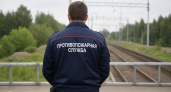 Школьники из Апатитов получили до 8 лет колонии за поджоги по заданию куратора