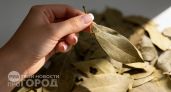 Смешиваю соль с лавровым листом и оставляю в углах: забыла о неприятном запахе и влажности навсегда