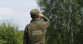 В Ярославской области объявлена беспилотная опасность: жителей призвали укрыться