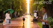 Лето 2026 года станет проверкой на прочность для каждого жителя России: синоптики объяснили причины аномалий