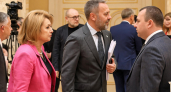 Бельский допустил появление пухососов в Петербурге для помощи жителям с аллергией