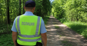 В Домодедове четверым дали до 10 лет за убийство мужчины в лесу