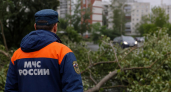 Смерч в Свердловской области оставил без света более четырех тысяч домов