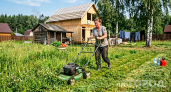 Скошенную траву больше не выбрасываю: 6 способов использовать её с пользой на участке