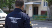 В Тосно после издевательств над школьницей на видео возбудили дело об истязании