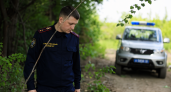 В Курске арестовали троих после попытки сжечь привязанного к дереву юношу
