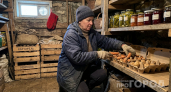 Погреб просохнет до идеального состояния за один час: копеечное средство вытянет всю влагу без лишних трат