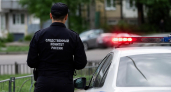 По делу об убийстве 12-летней Миланы выявили еще два эпизода