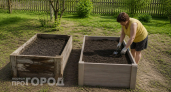 Хватит каждый год менять гнилые доски: попробуйте этот материал для грядок с гарантией на полвека за копейки