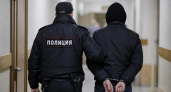 Фигуранта дела о квартире Ларисы Долиной исключили из иска после ухода на СВО