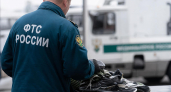 В Петербурге раскрыли схему ввоза самоцветов из Шри-Ланки на 3,4 млн рублей
