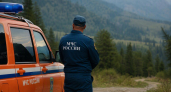 Боец СВО на Алтае выжил после удара молнии и встречи с медведем