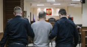 Мизгир признал вину по делу о поставках тухлой тушенки военным