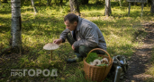 Опытные грибники совершают ошибку проходя мимо этого лесного деликатеса: он вкуснее многих известных видов