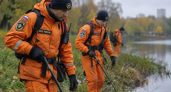 В Англии нашли тело пропавшего с детской площадки трехлетнего мальчика