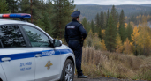 Под Красноярском медведь напал на женщину у загона со скотом