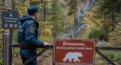 В Красноярском крае из за медведей закрыли Торгашинскую лестницу длиной больше километра