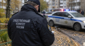 В Южно-Сахалинске после нападения на 8-летнего мальчика начали проверку