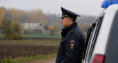 В Кемеровской области участковая застрелила двух медведей после нападений на хозяйства
