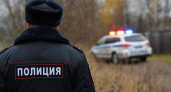 В Красноярском крае полицейский ликвидировал медведя при попытке проникнуть в жилой дом