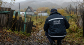 На Сахалине в дачном массиве изъяли бурого медведя после ночных выходов