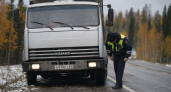 В ХМАО медведь раскачал КАМАЗ на дороге и попал на видео
