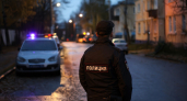 Фейковое фото медведя от нейросети привело к суду в Амурской области