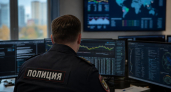 МВД: рекордный ущерб от кибермошенников в Москве достиг 450 млн рублей